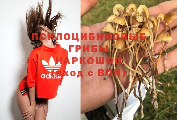 наркотики Новодвинск