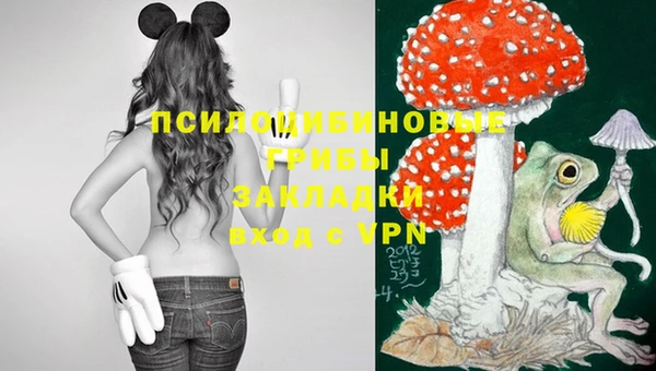MESCALINE Новозыбков